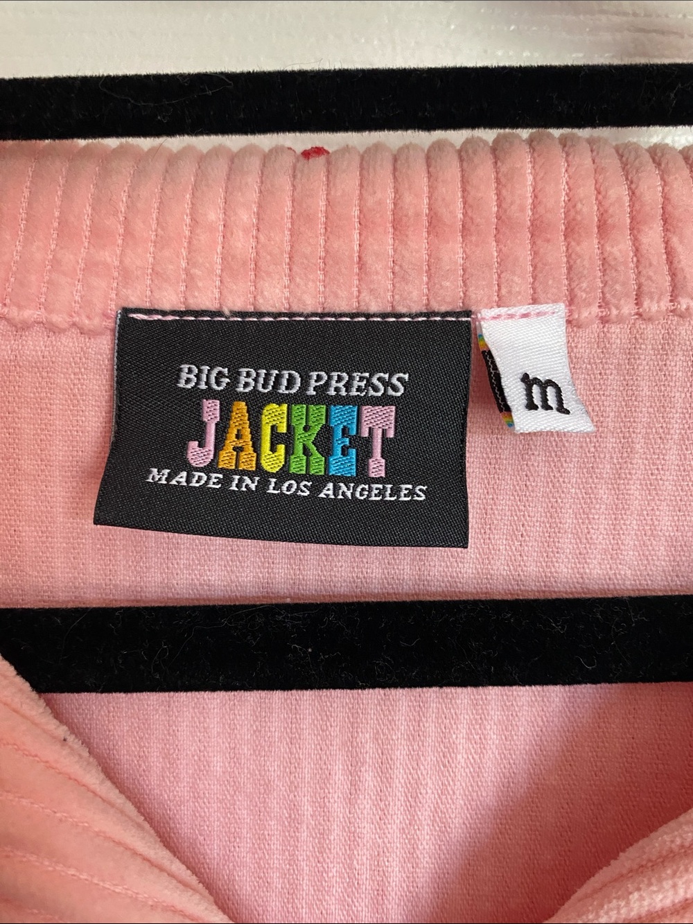 Big bud, press, strawberry, paint stamp, corduroy, pink jacket - Picture 3 of 3